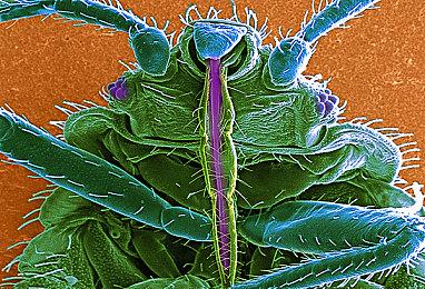 《电锯惊魂10》最新海报 9月29日北美上映